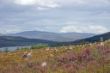 Scotland_09-35.jpg