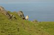 Scotland_09-46.jpg